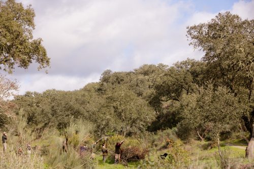 00344- Caçada Pego do Lobo fim época 2026