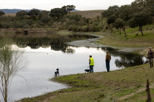 00345- Caçada Melo Pego do Lobo 2025