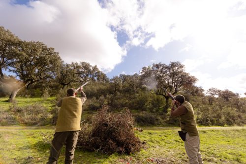 00345- Caçada Pego do Lobo fim época 2026