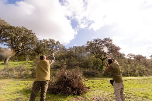 00346- Caçada Pego do Lobo fim época 2026
