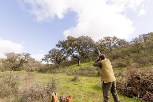 00348- Caçada Pego do Lobo fim época 2026