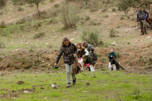 00349- Caçada Melo Pego do Lobo 2025
