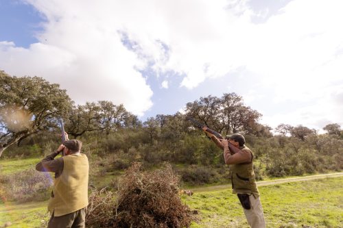00349- Caçada Pego do Lobo fim época 2026