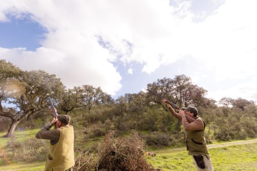 00350- Caçada Pego do Lobo fim época 2026