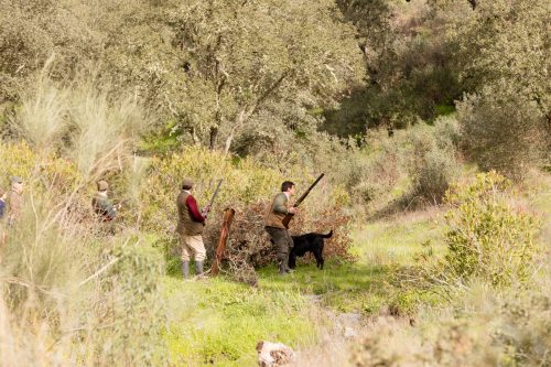 00351- Caçada Pego do Lobo fim época 2026