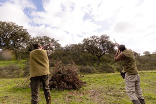 00352- Caçada Pego do Lobo fim época 2026