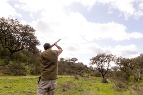00353- Caçada Pego do Lobo fim época 2026