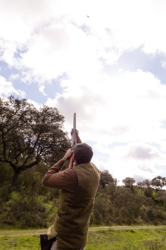00354- Caçada Pego do Lobo fim época 2026