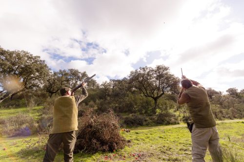 00356- Caçada Pego do Lobo fim época 2026