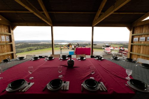 00358- Caçada Melo Pego do Lobo 2025