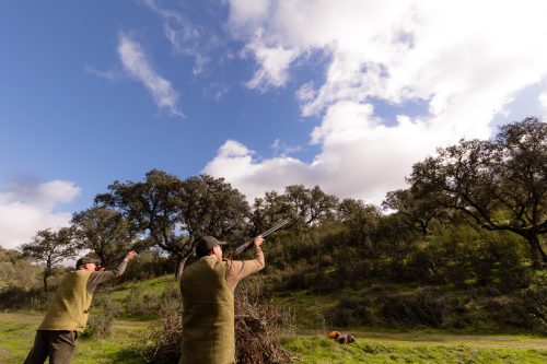 00359- Caçada Pego do Lobo fim época 2026