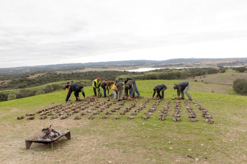 00360- Caçada Melo Pego do Lobo 2025