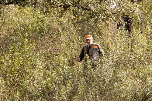 00361- Caçada Pego do Lobo fim época 2026
