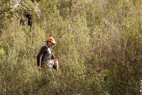 00362- Caçada Pego do Lobo fim época 2026
