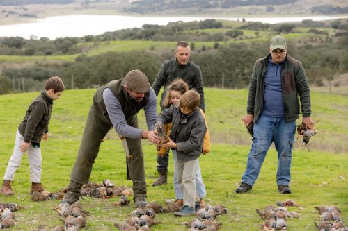 00369- Caçada Melo Pego do Lobo 2025