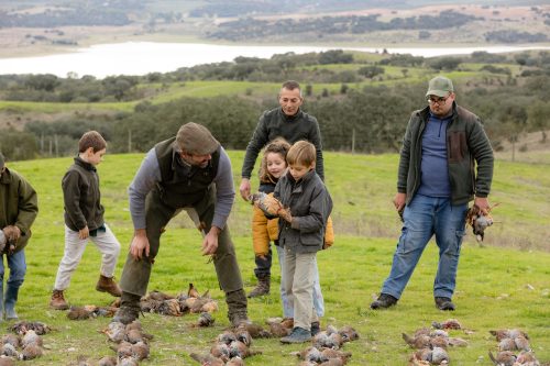 00370- Caçada Melo Pego do Lobo 2025