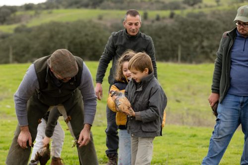 00371- Caçada Melo Pego do Lobo 2025