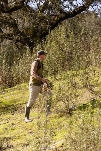 00371- Caçada Pego do Lobo fim época 2026