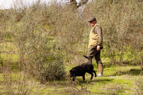 00373- Caçada Pego do Lobo fim época 2026
