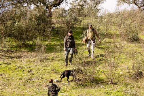 00376- Caçada Pego do Lobo fim época 2026