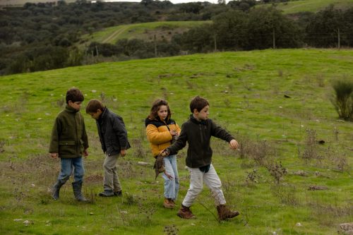 00379- Caçada Melo Pego do Lobo 2025