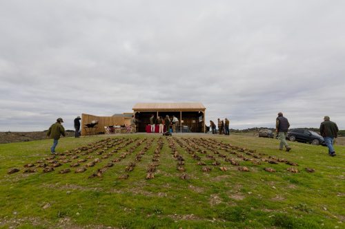00381- Caçada Melo Pego do Lobo 2025