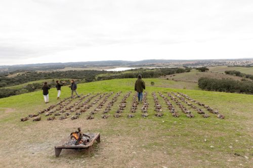 00385- Caçada Melo Pego do Lobo 2025