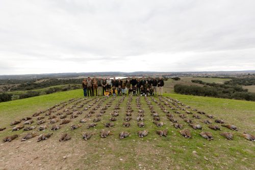 00387- Caçada Melo Pego do Lobo 2025