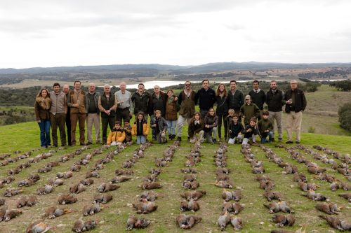 00388- Caçada Melo Pego do Lobo 2025