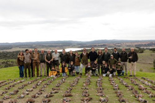 00390- Caçada Melo Pego do Lobo 2025