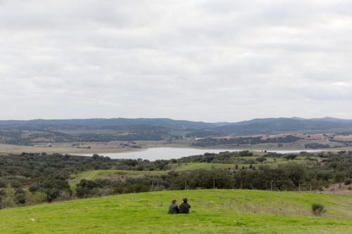 00404- Caçada Melo Pego do Lobo 2025