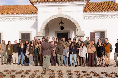 00417- Caçada Pego do Lobo fim época 2026