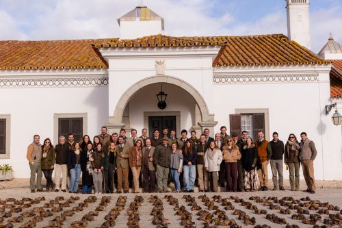 00423- Caçada Pego do Lobo fim época 2026