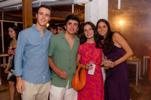00510- 18 anos Luisa e Castelinho
