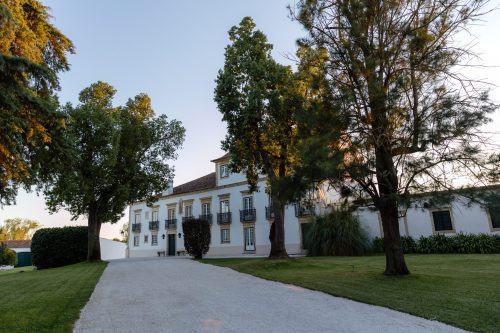 00608- Baptizado João Maria