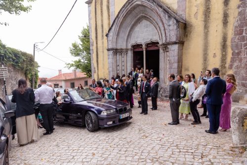 00766- HelenaTomás