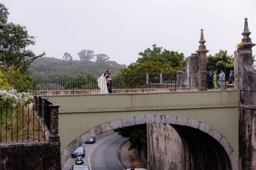 00842- HelenaTomás