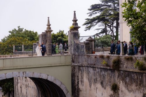 00845- HelenaTomás