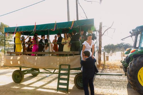 01036 - AnaAntonio